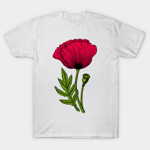 Red poppy 3 T-Shirt by katerinamk